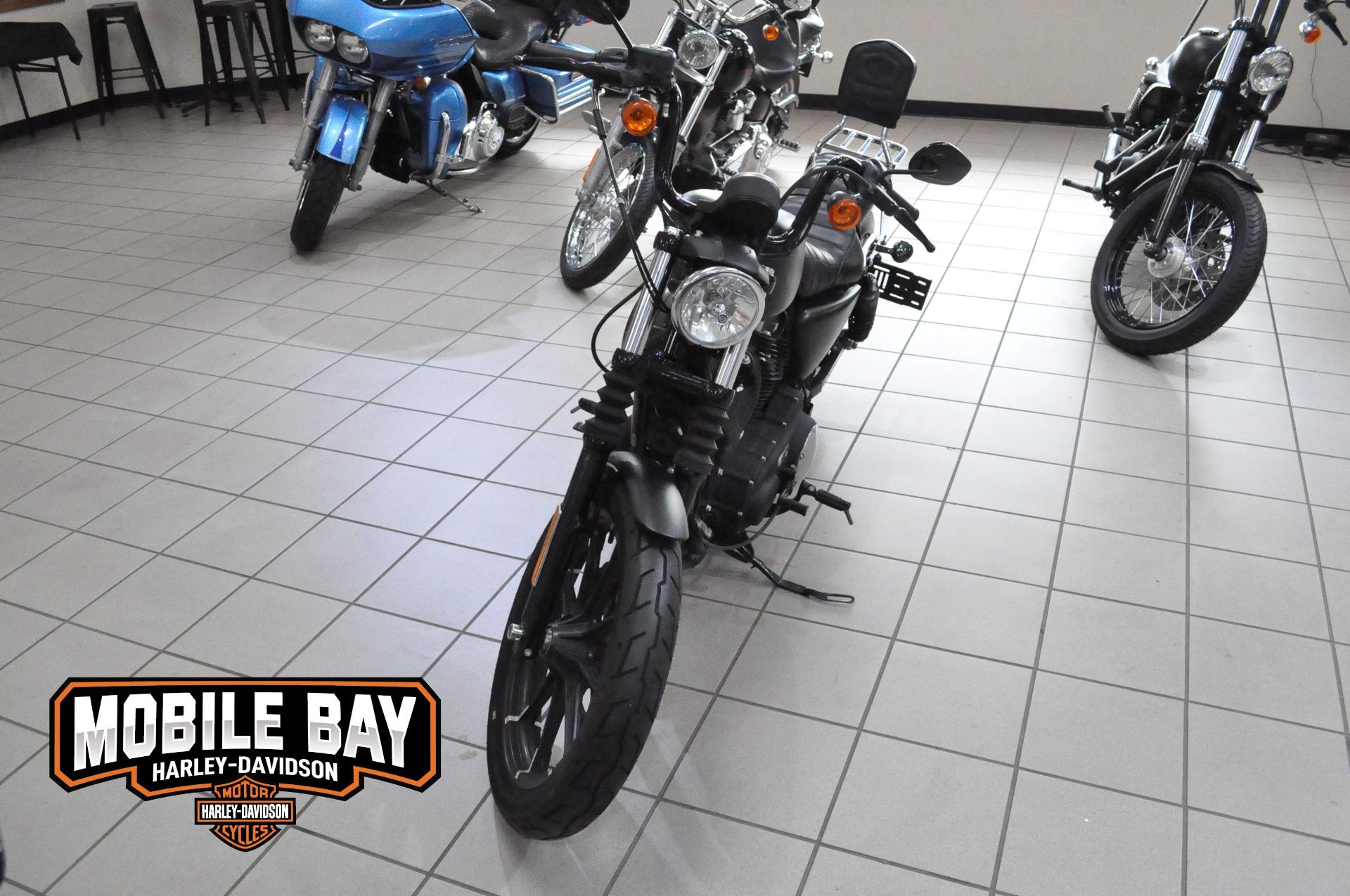 2019 Harley-Davidson Iron 883™ in Mobile, Alabama - Photo 3