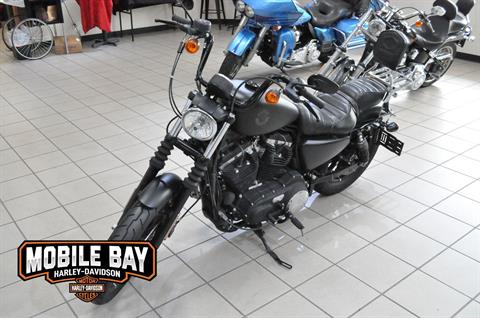 2019 Harley-Davidson Iron 883™ in Mobile, Alabama - Photo 7