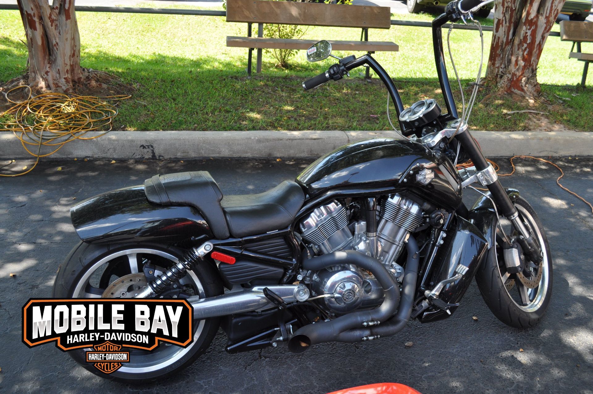 2013 Harley-Davidson V-Rod Muscle® in Mobile, Alabama - Photo 2