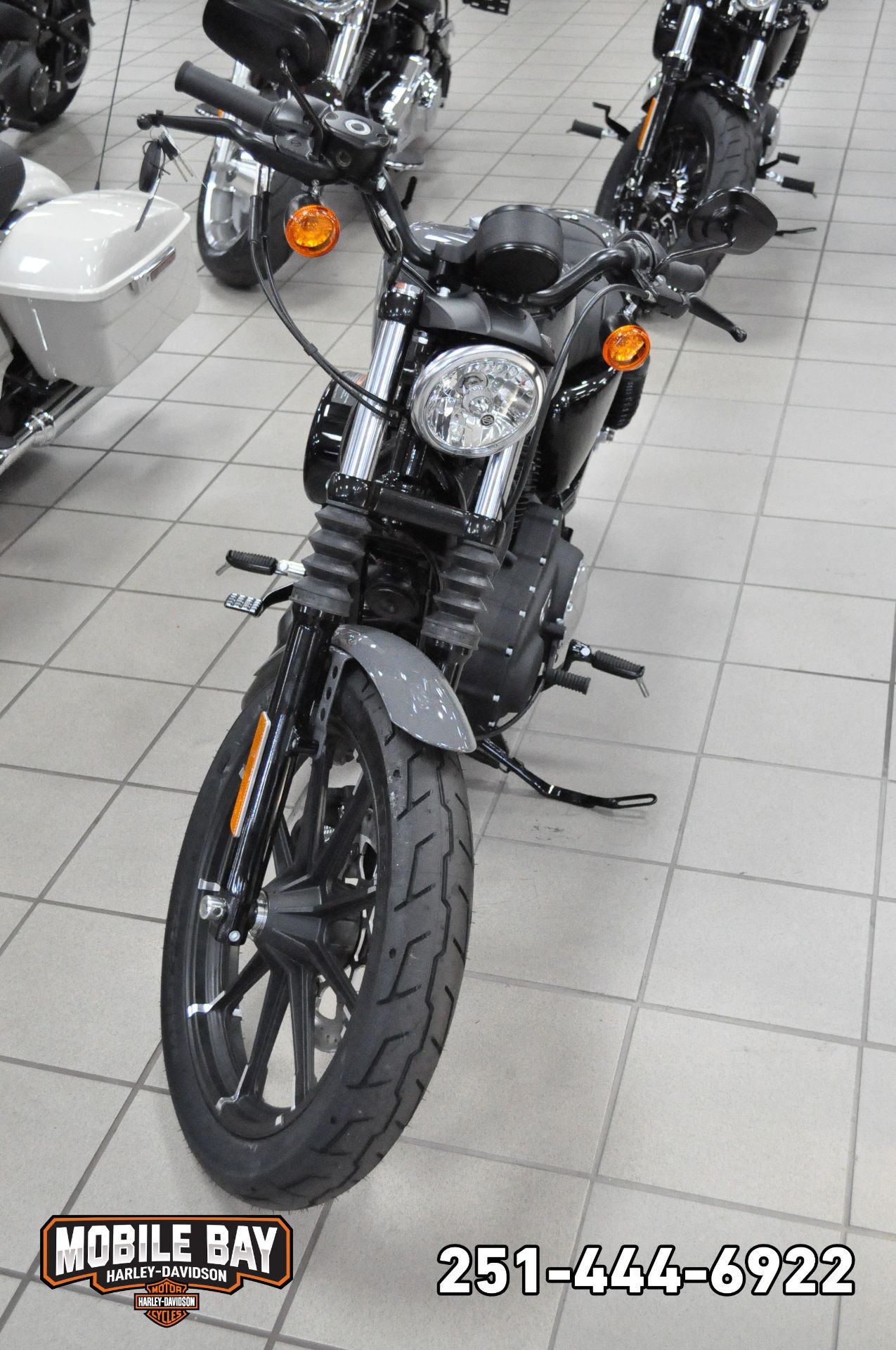 2022 Harley-Davidson Iron 883™ in Mobile, Alabama - Photo 4