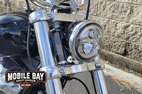 2020 Harley-Davidson Softail® Standard in Mobile, Alabama - Photo 4