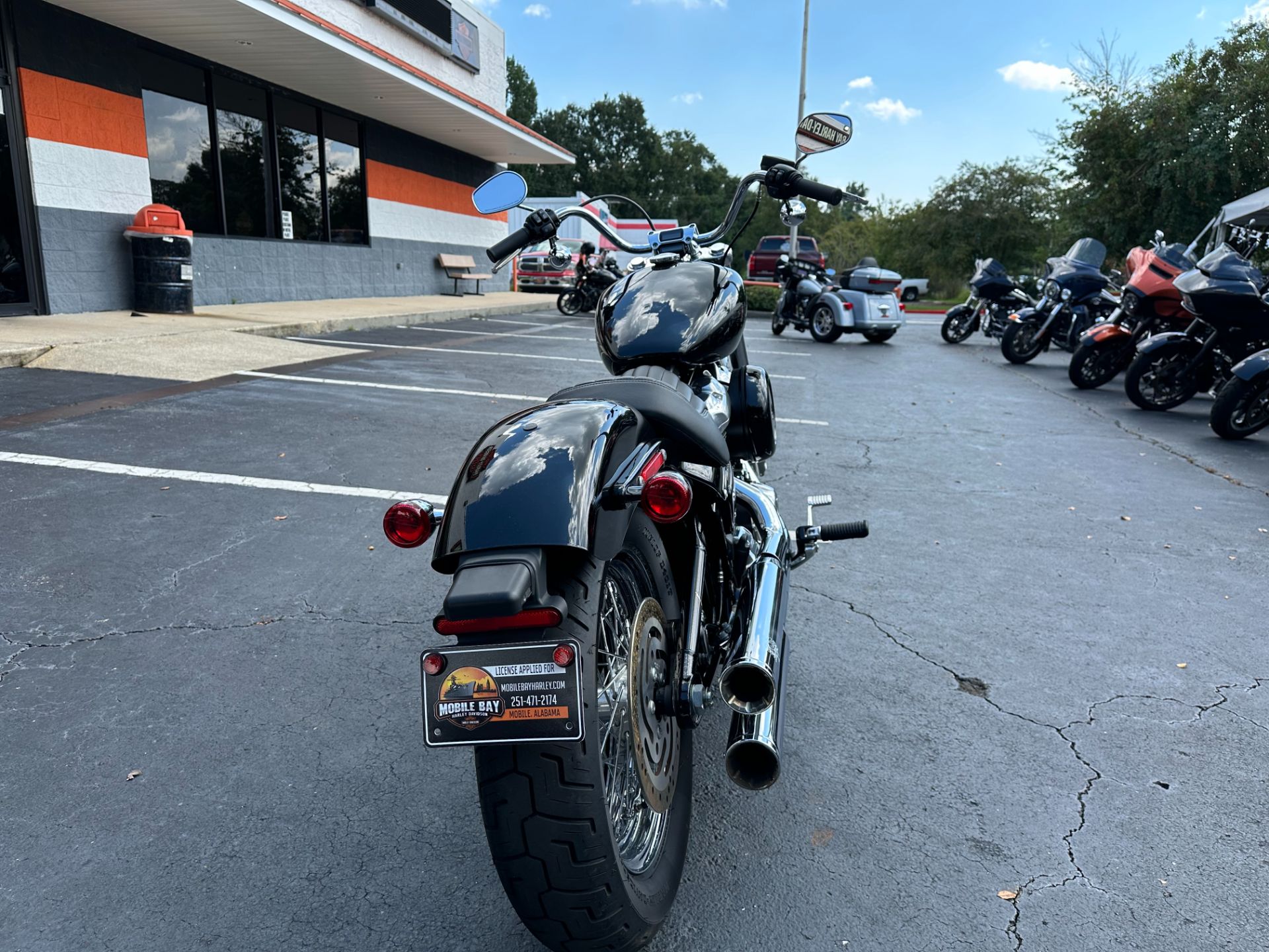 2021 Harley-Davidson Softail® Standard in Mobile, Alabama - Photo 9