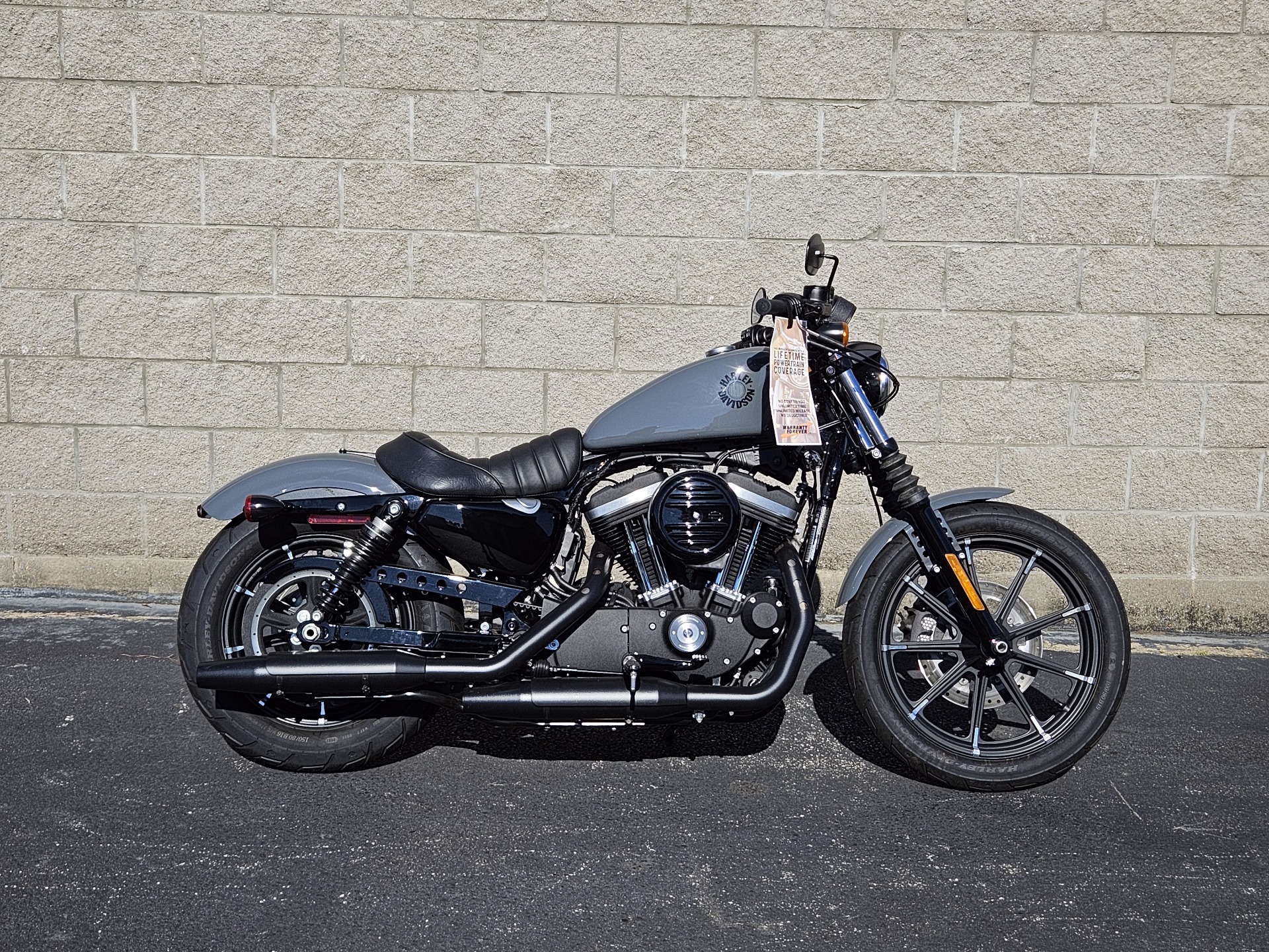 2022 Harley-Davidson Iron 883™ in Columbus, Georgia - Photo 1