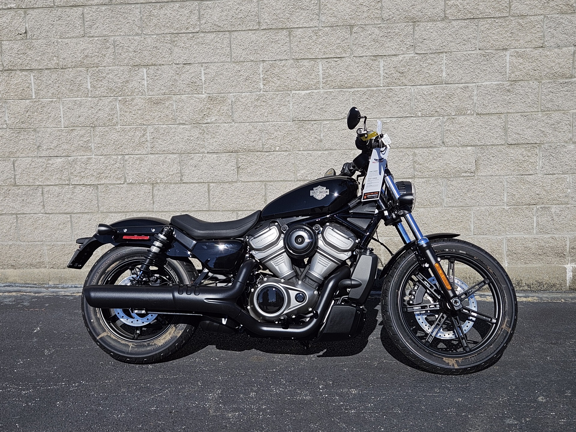 2023 Harley-Davidson Nightster® in Columbus, Georgia - Photo 1