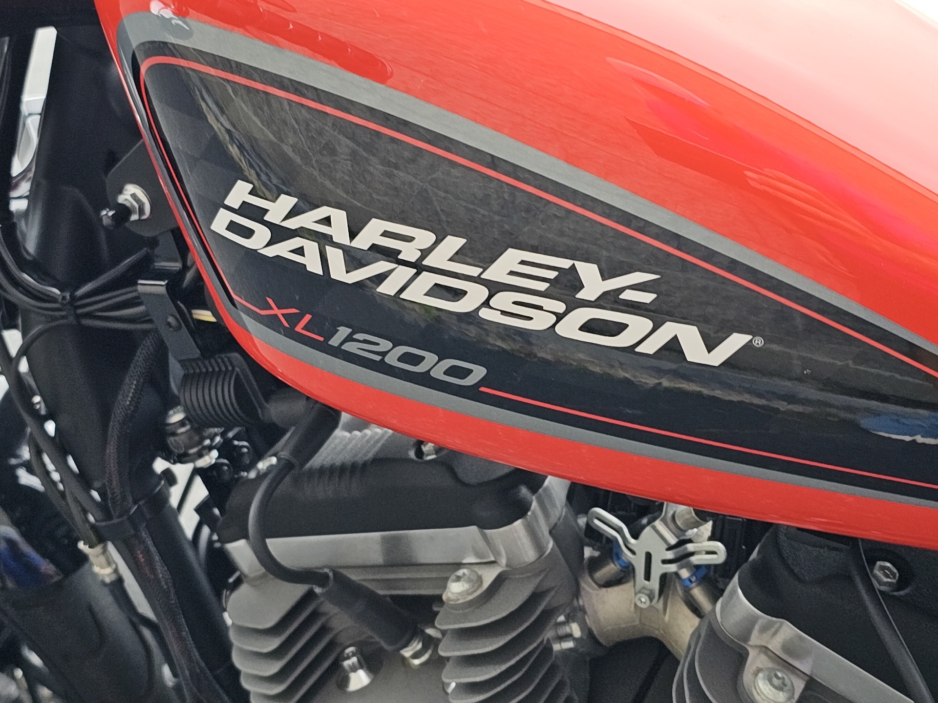 2020 Harley-Davidson Roadster™ in Columbus, Georgia - Photo 13
