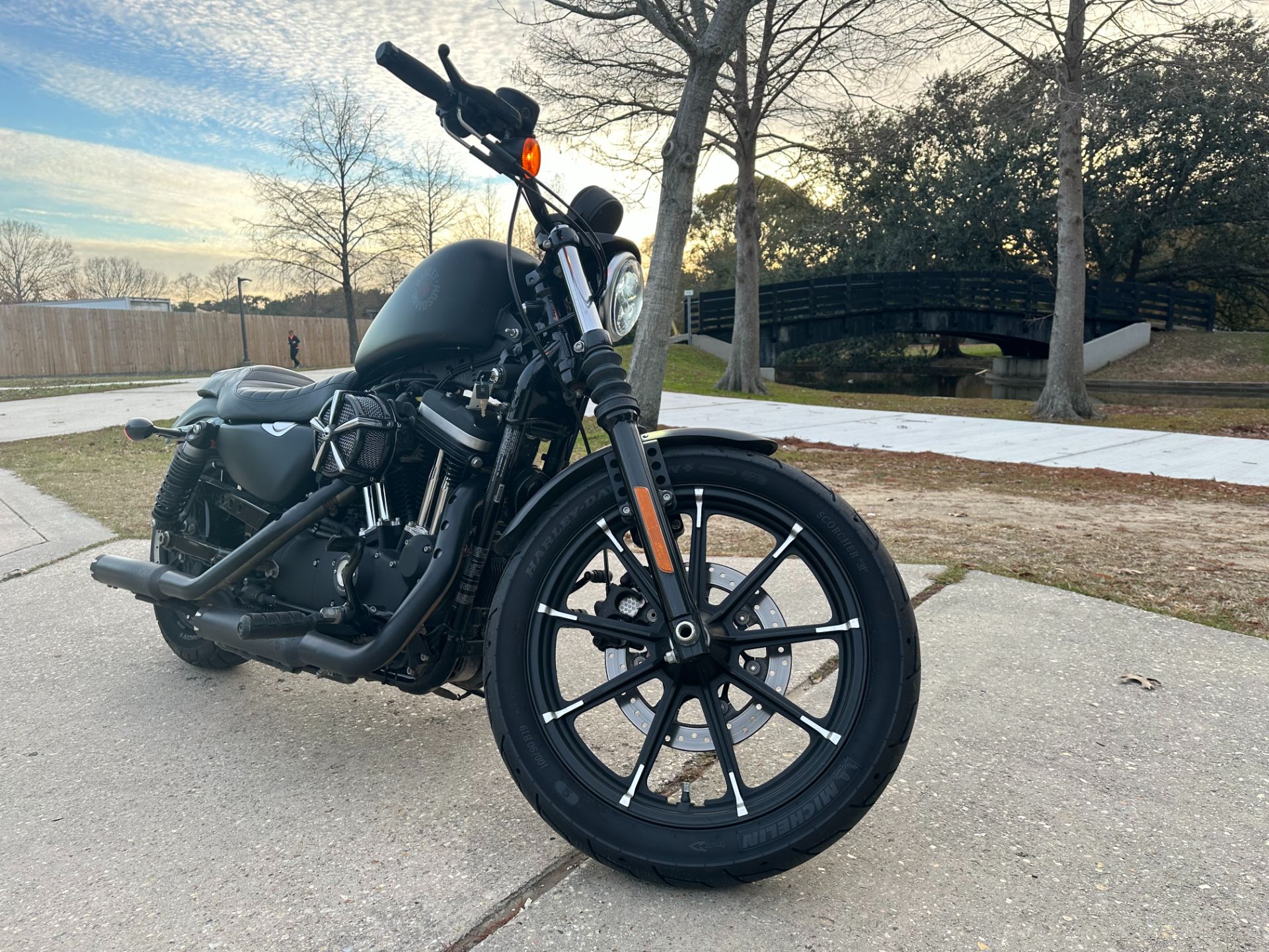 2019 Harley-Davidson Iron 883™ in Metairie, Louisiana - Photo 1