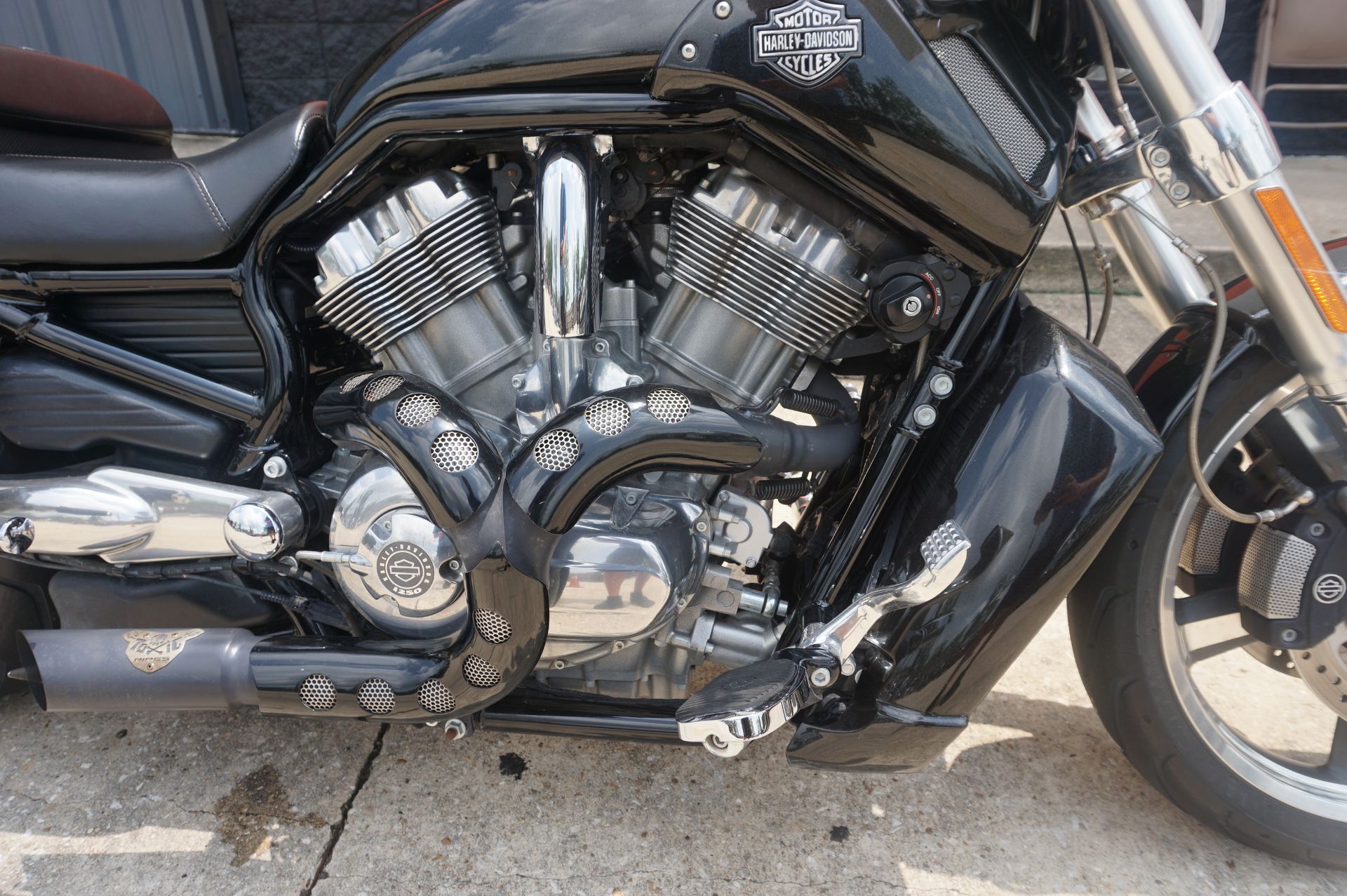 2015 Harley-Davidson V-Rod Muscle® in Metairie, Louisiana - Photo 4