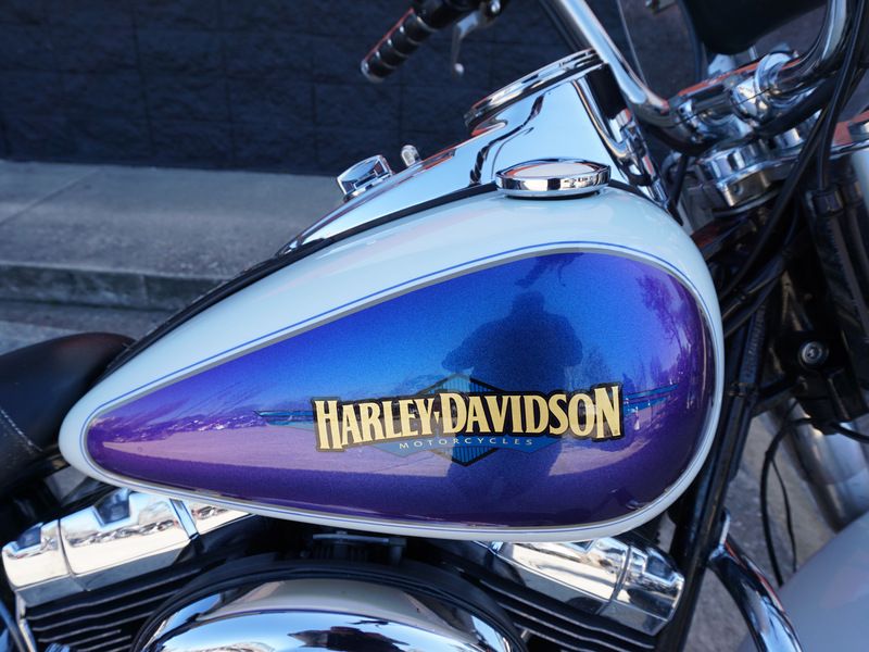 2010 Harley-Davidson Heritage Softail® Classic in Metairie, Louisiana - Photo 4