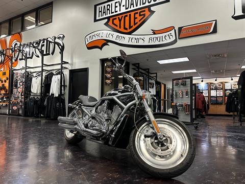 2004 Harley-Davidson VRSCA V-Rod® in Metairie, Louisiana - Photo 1