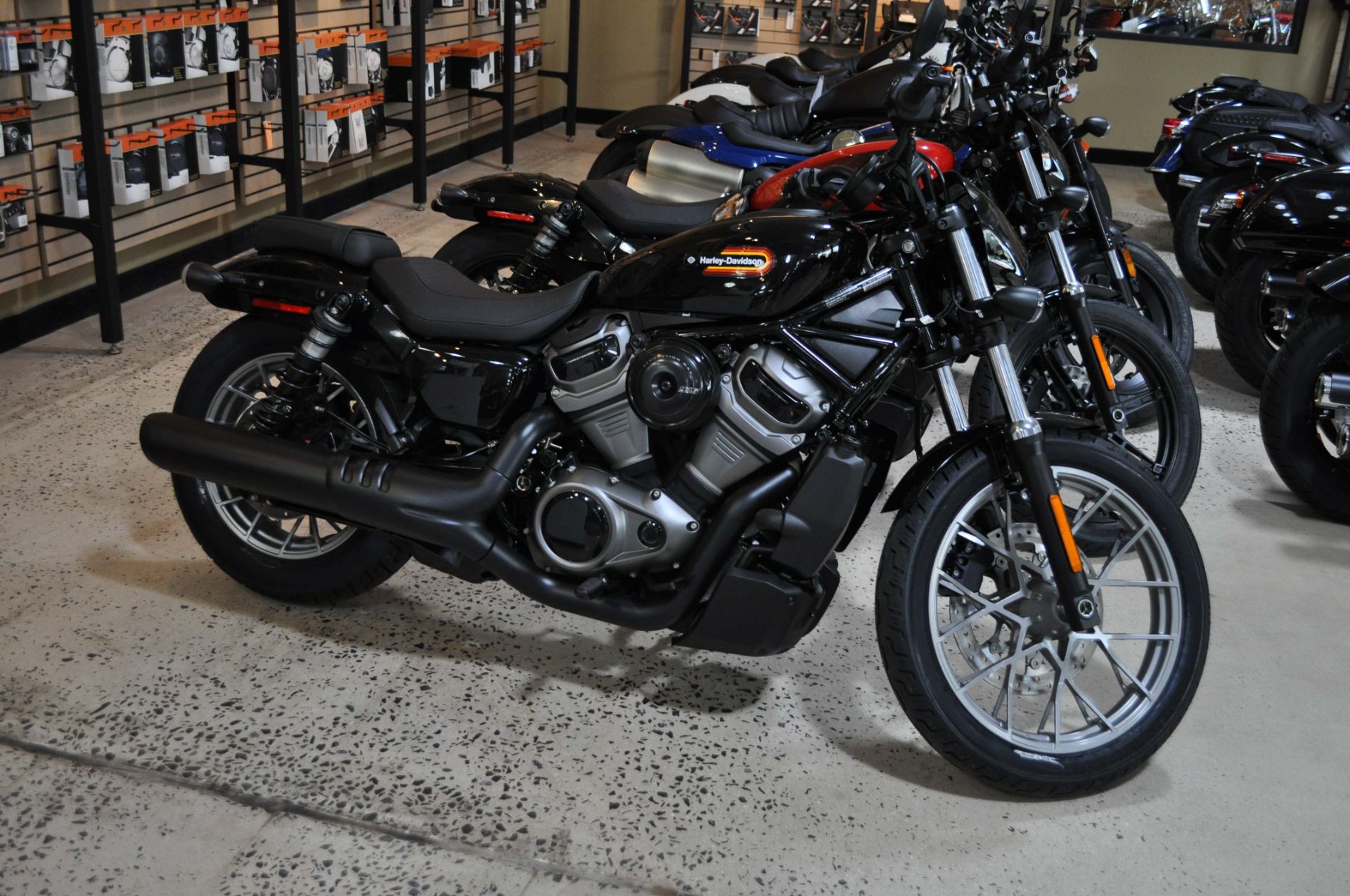 2023 Harley-Davidson Nightster® Special in Winston Salem, North Carolina - Photo 1