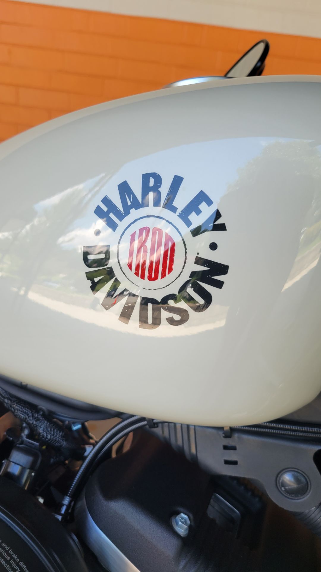 2022 Harley-Davidson Iron 883™ in Winston Salem, North Carolina - Photo 7