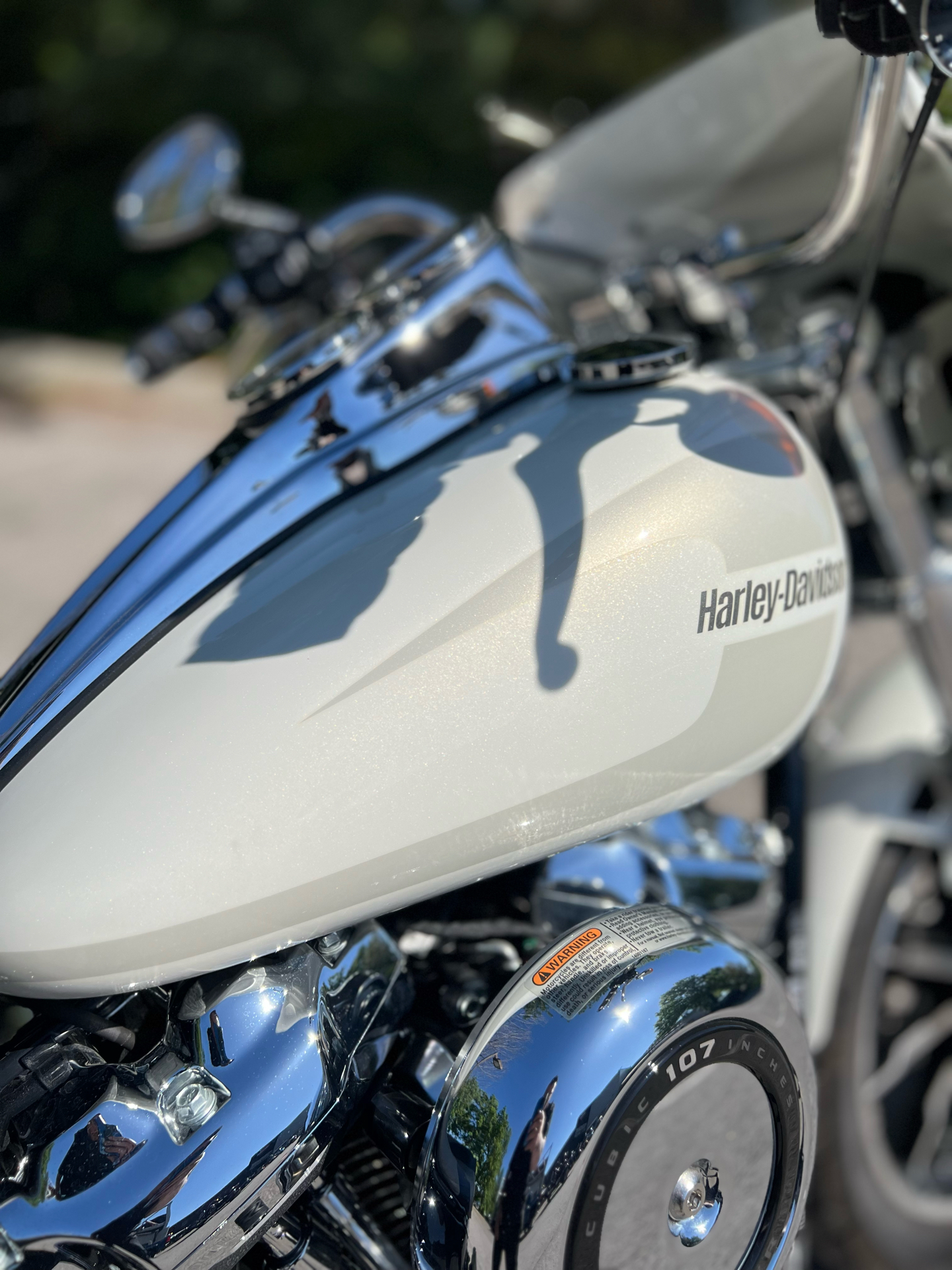 2018 Harley-Davidson Low Rider® 107 in Franklin, Tennessee - Photo 8