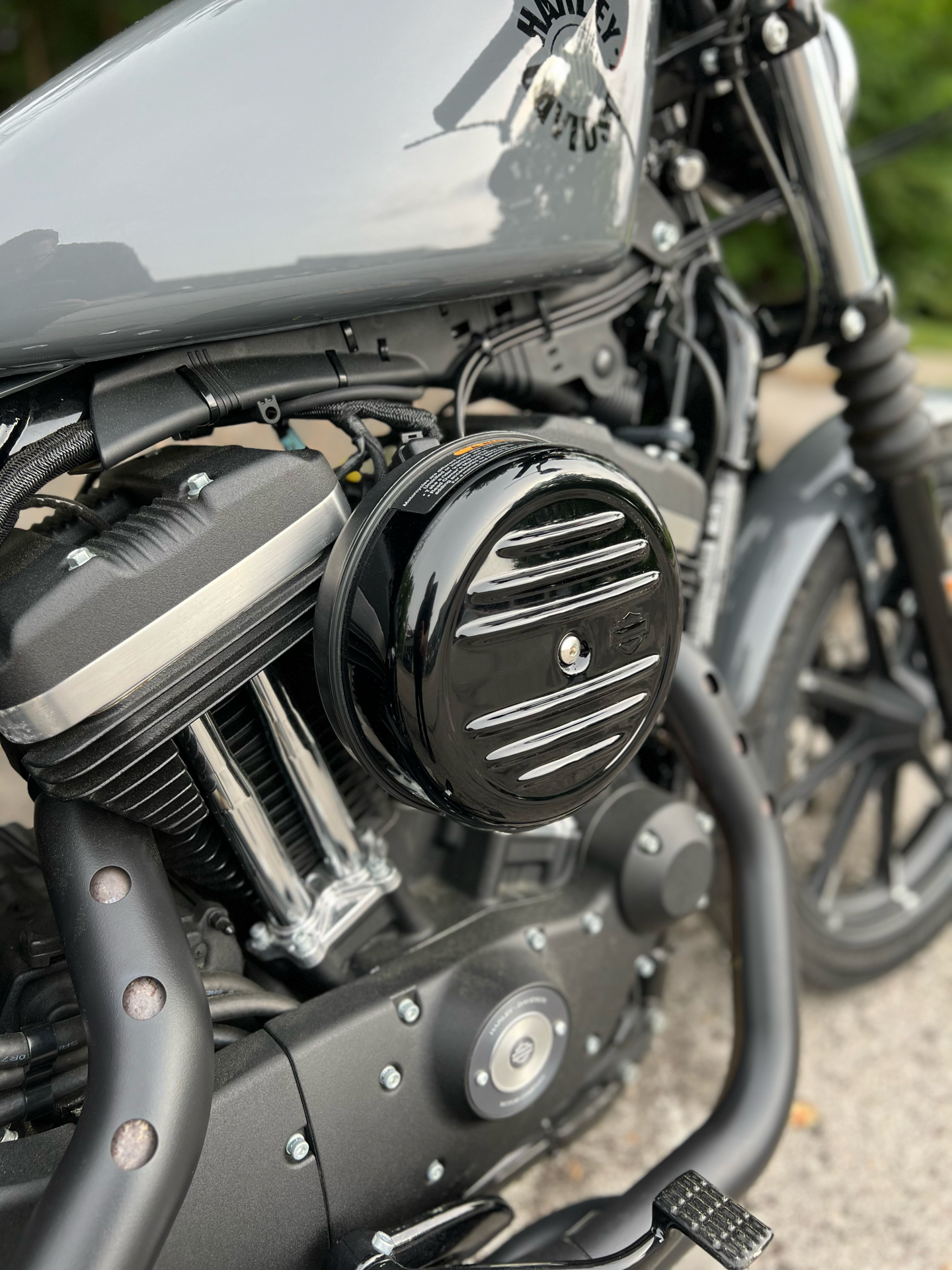 2022 Harley-Davidson Iron 883™ in Franklin, Tennessee - Photo 5