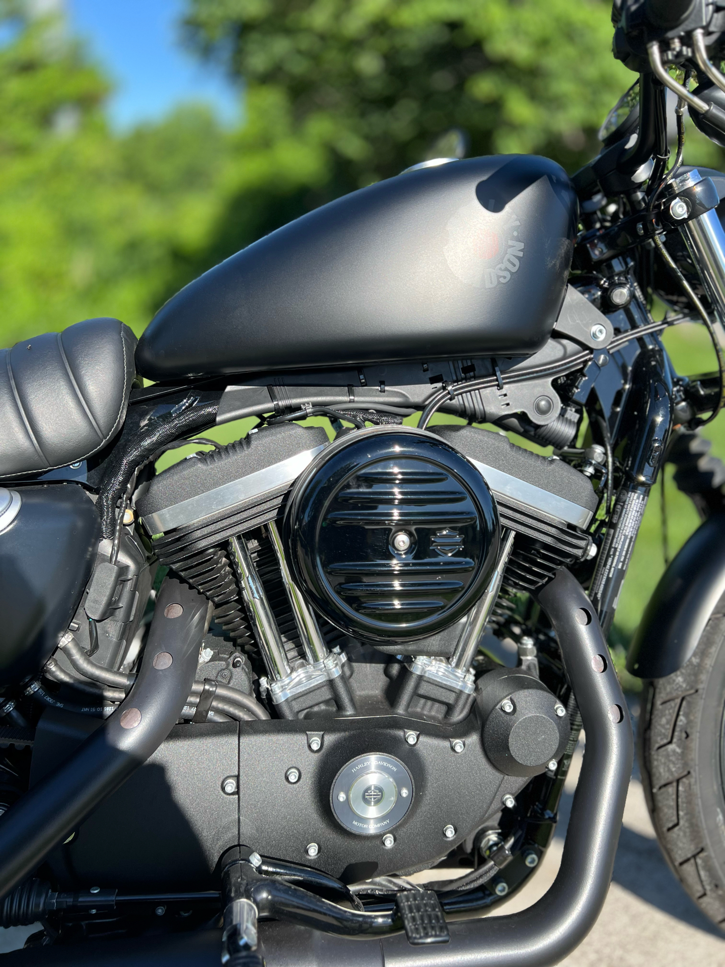 2022 Harley-Davidson Iron 883™ in Franklin, Tennessee - Photo 2