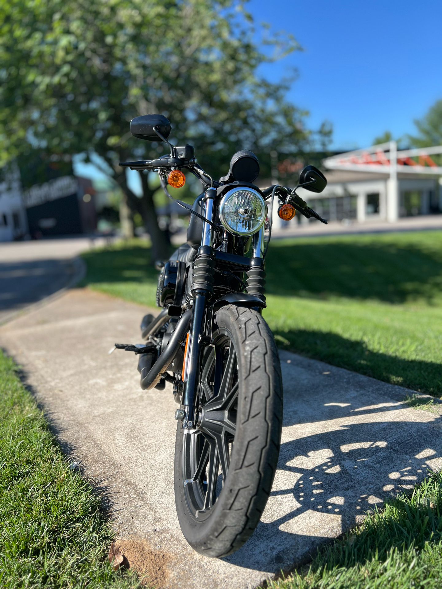 2022 Harley-Davidson Iron 883™ in Franklin, Tennessee - Photo 6