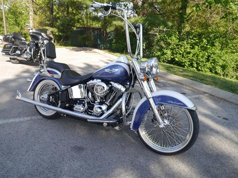 2015 Harley-Davidson Softail® Deluxe in Franklin, Tennessee - Photo 6