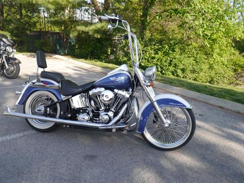 2015 Harley-Davidson Softail® Deluxe in Franklin, Tennessee - Photo 7