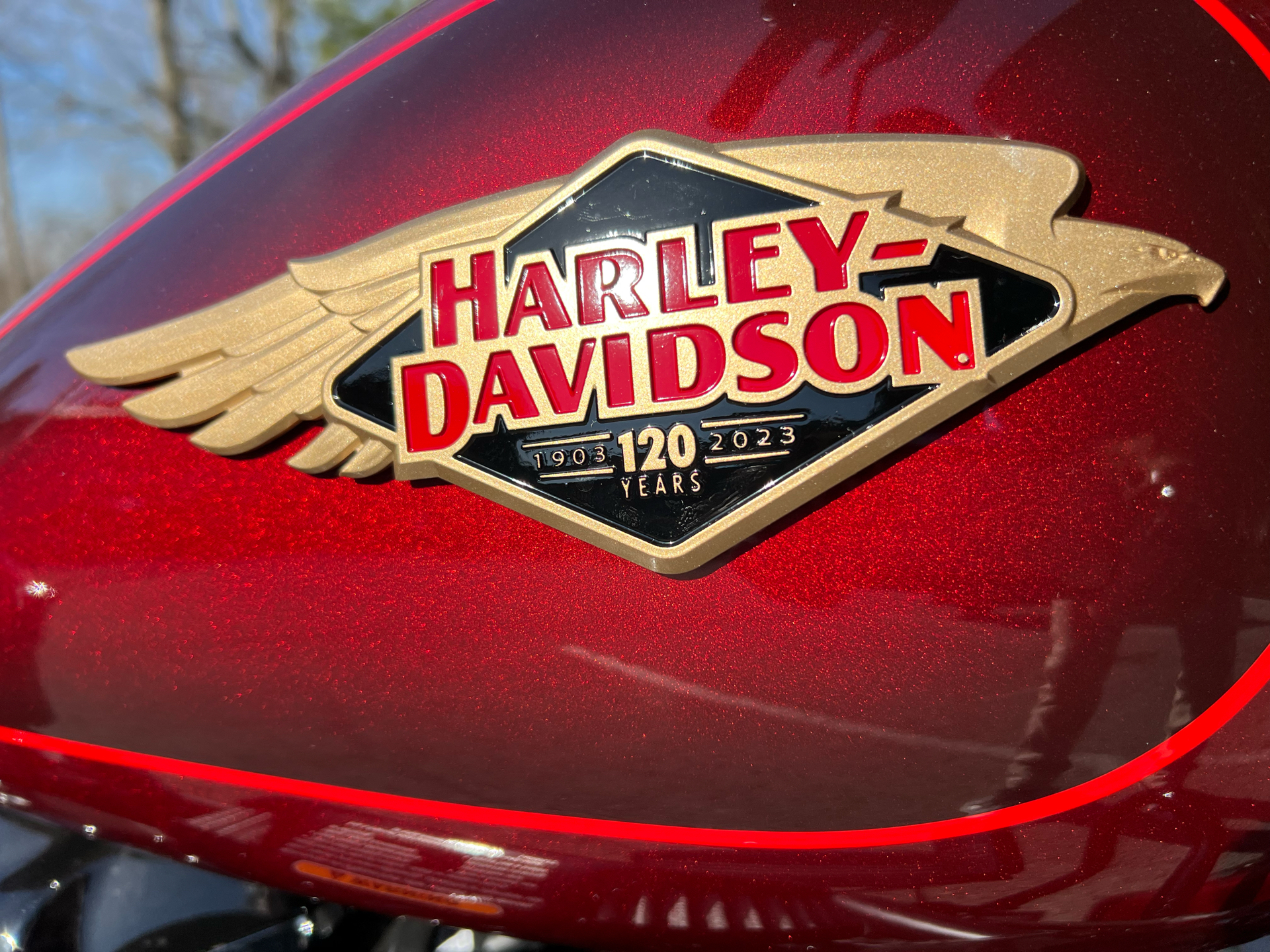 2023 Harley-Davidson Road Glide® Anniversary in Franklin, Tennessee - Photo 31