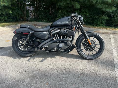 2012 Harley-Davidson Sportster® Iron 883™ in Franklin, Tennessee - Photo 1