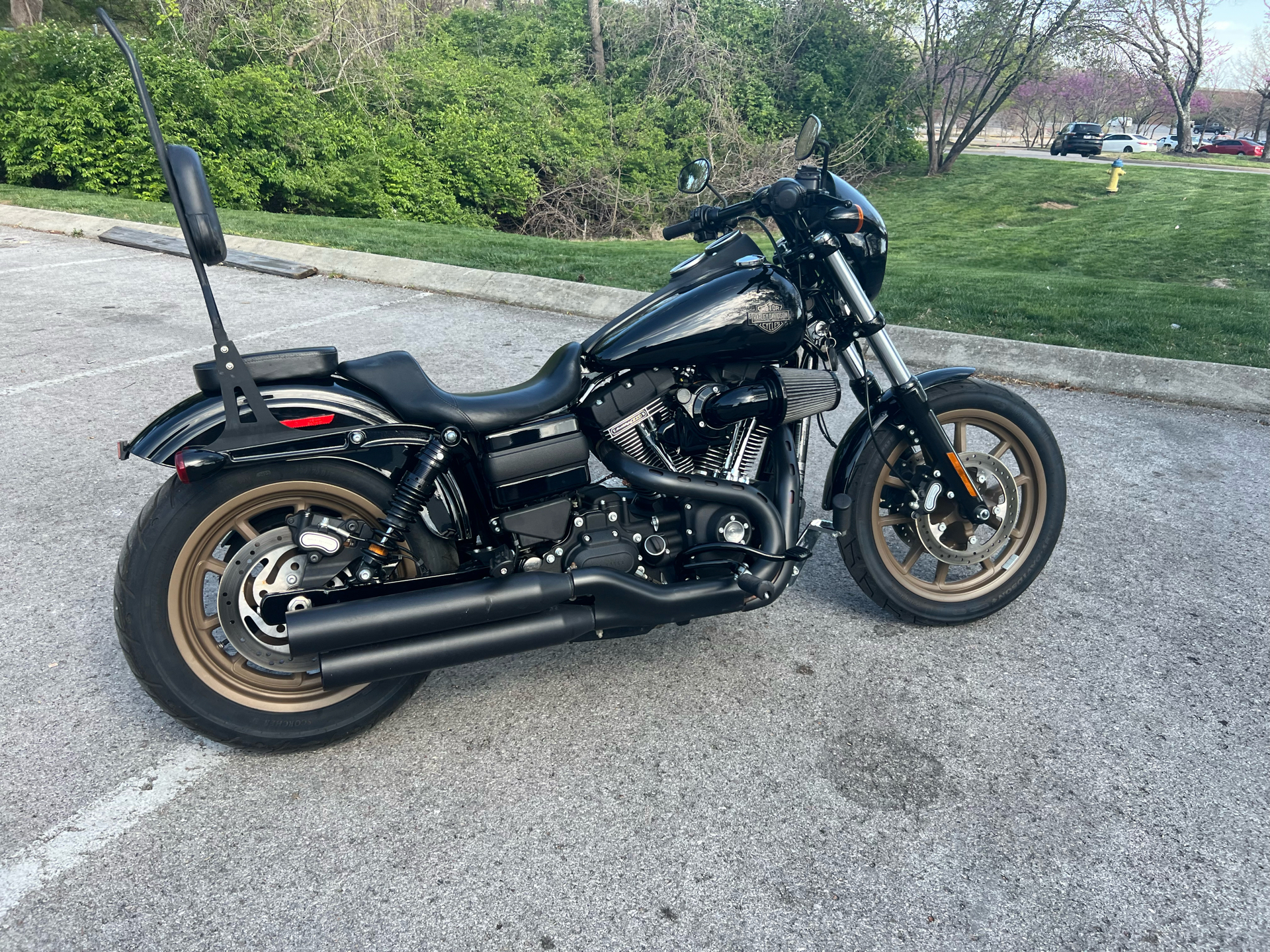 2017 Harley-Davidson Low Rider® S in Franklin, Tennessee - Photo 11