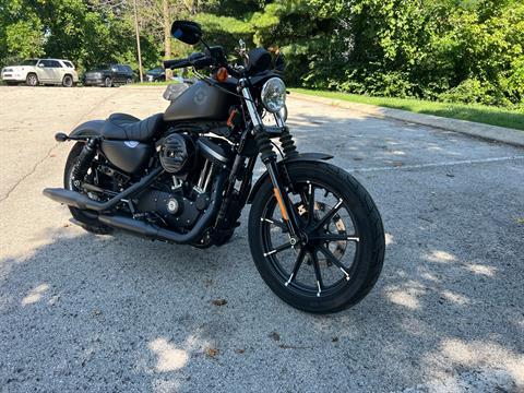 2021 Harley-Davidson Iron 883™ in Franklin, Tennessee - Photo 4