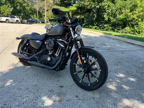 2021 Harley-Davidson Iron 883™ in Franklin, Tennessee - Photo 5