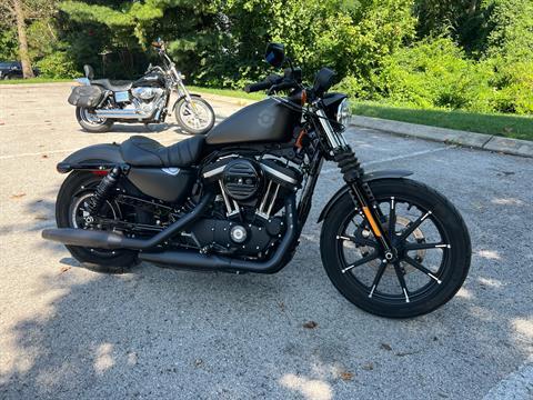 2021 Harley-Davidson Iron 883™ in Franklin, Tennessee - Photo 7