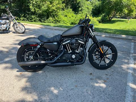 2021 Harley-Davidson Iron 883™ in Franklin, Tennessee - Photo 9