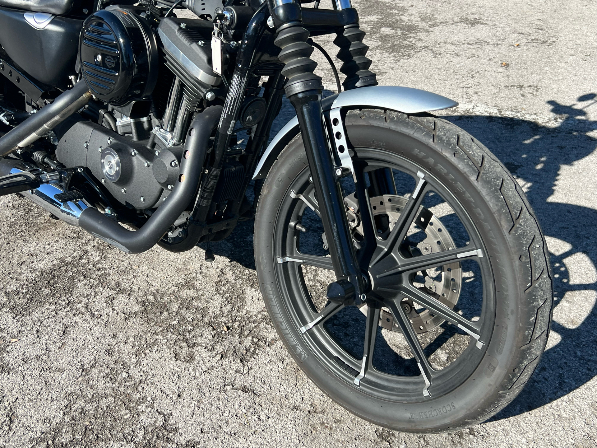 2020 Harley-Davidson Iron 883™ in Franklin, Tennessee - Photo 3