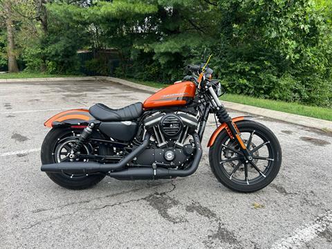 2020 Harley-Davidson Iron 883™ in Franklin, Tennessee - Photo 1