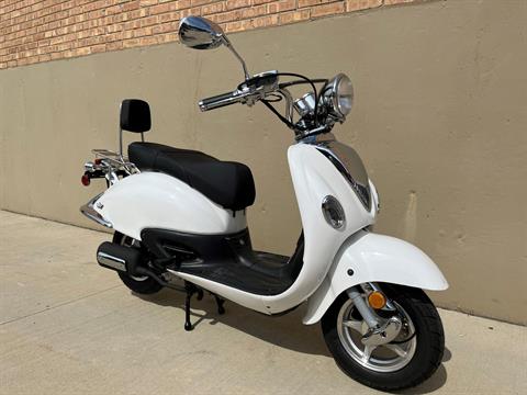 2022 Wolf Brand Scooters Wolf Jet in Roselle, Illinois - Photo 2