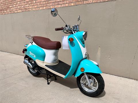 2023 Wolf Brand Scooters ISLANDER in Roselle, Illinois - Photo 2