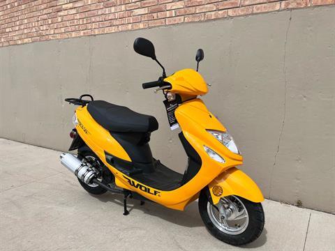 2023 Wolf Brand Scooters Wolf RX-50 in Roselle, Illinois - Photo 2