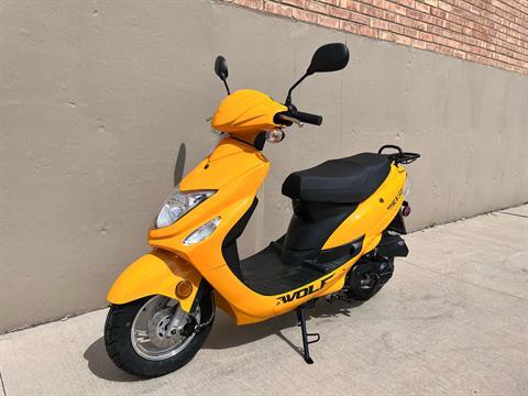 2023 Wolf Brand Scooters Wolf RX-50 in Roselle, Illinois - Photo 10