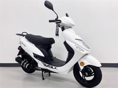 2023 Wolf Brand Scooters Wolf RX-50 in Roselle, Illinois - Photo 8
