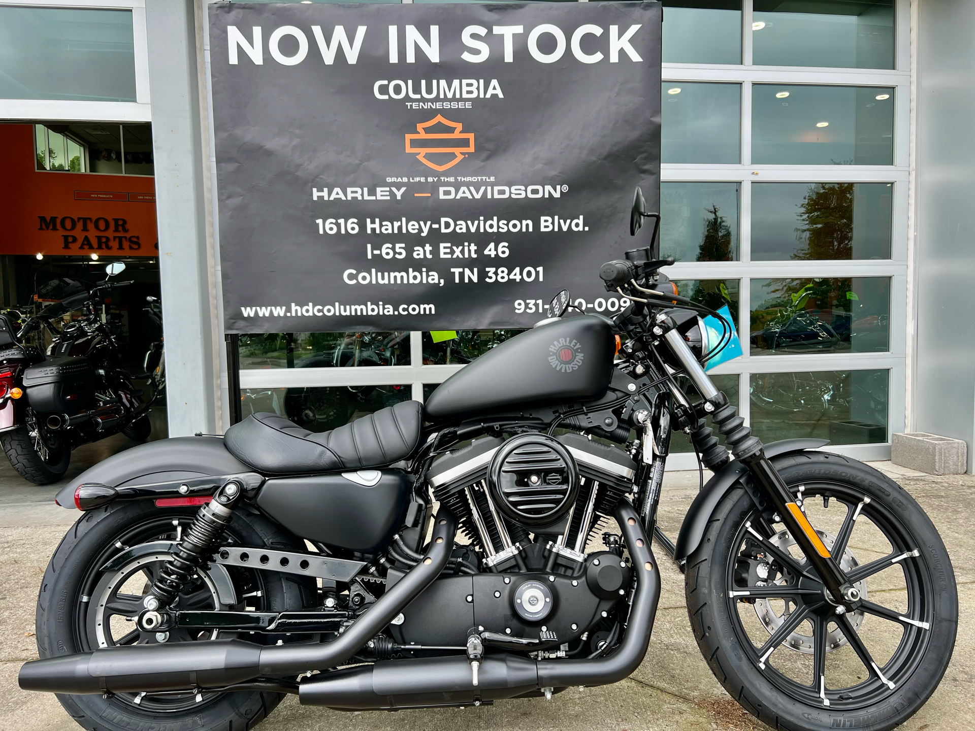 2022 Harley-Davidson XL883N in Columbia, Tennessee
