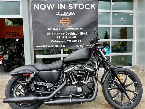 2022 Harley-Davidson Iron 883™ in Columbia, Tennessee