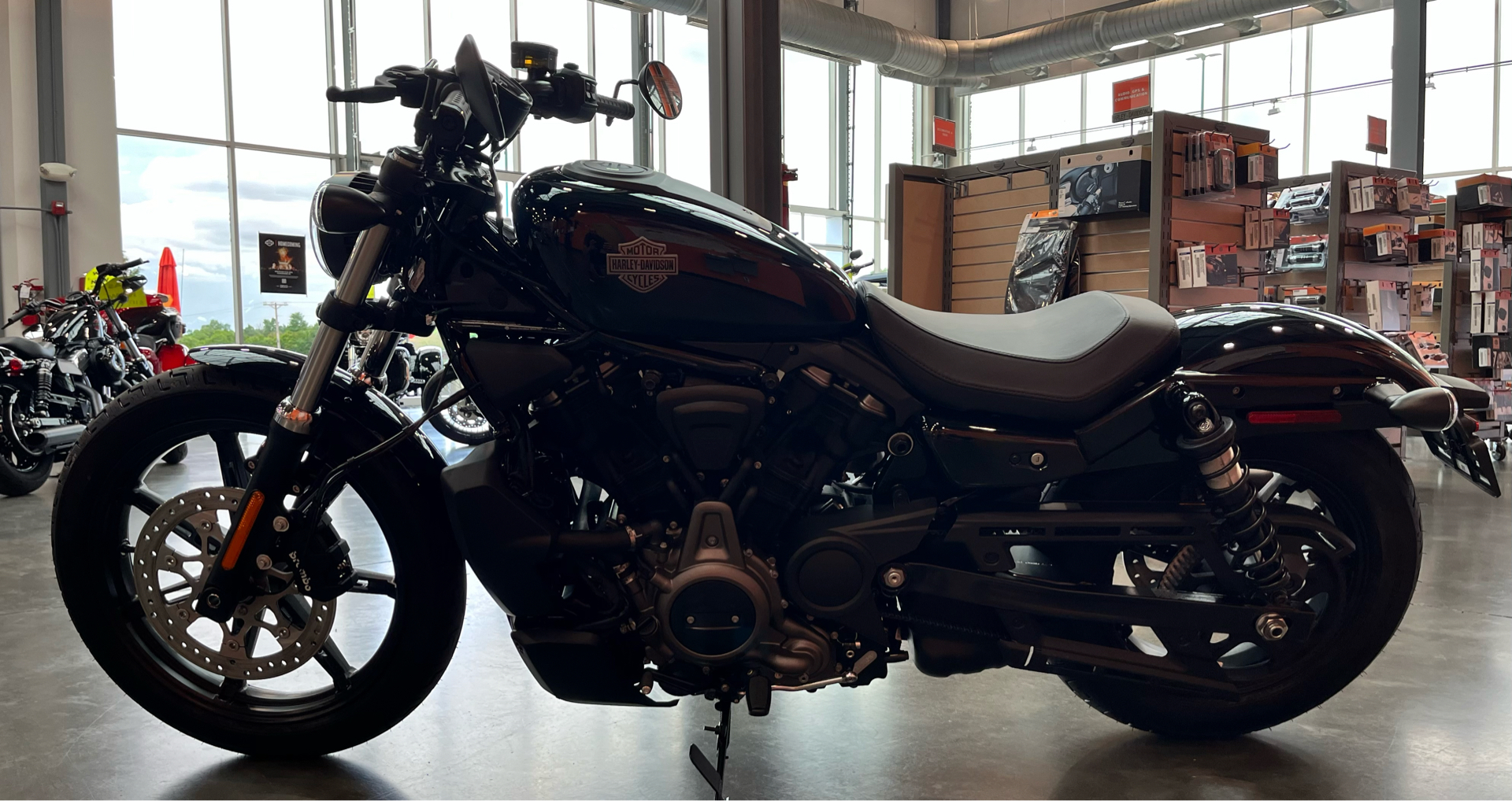 2023 Harley-Davidson Nightster in Columbia, Tennessee - Photo 6