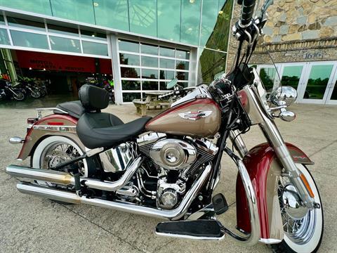 2009 Harley-Davidson FLSTN Softail Deluxe in Columbia, Tennessee - Photo 2
