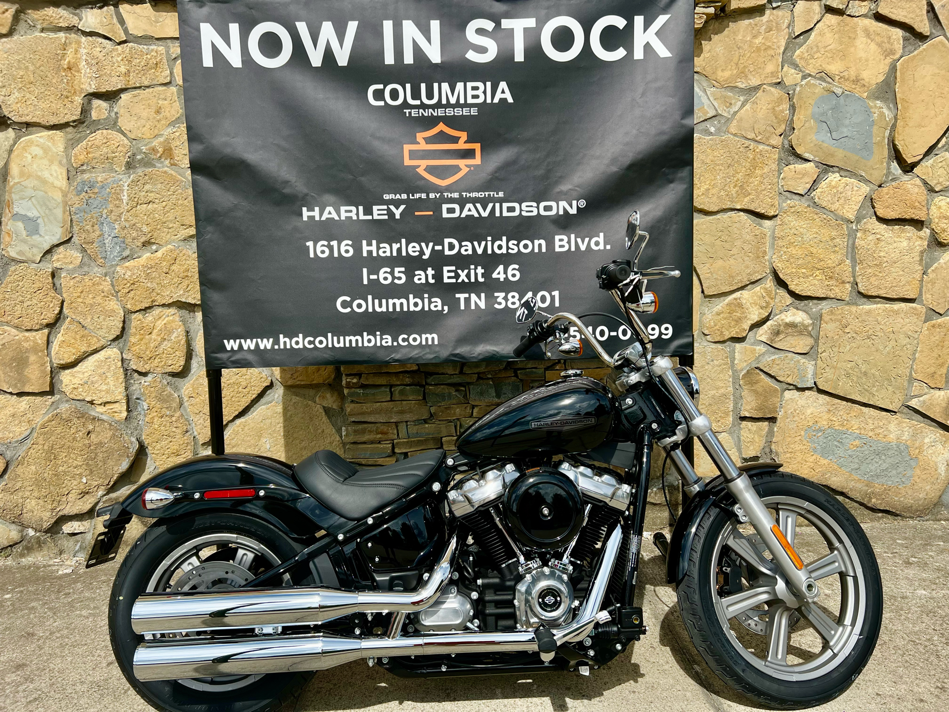 2022 Harley-Davidson FXST Softail Standard in Columbia, Tennessee