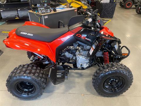2024 Can-Am DS 250 in Vernon, Connecticut - Photo 1