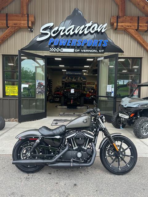 2019 Harley-Davidson Iron 883™ in Vernon, Connecticut