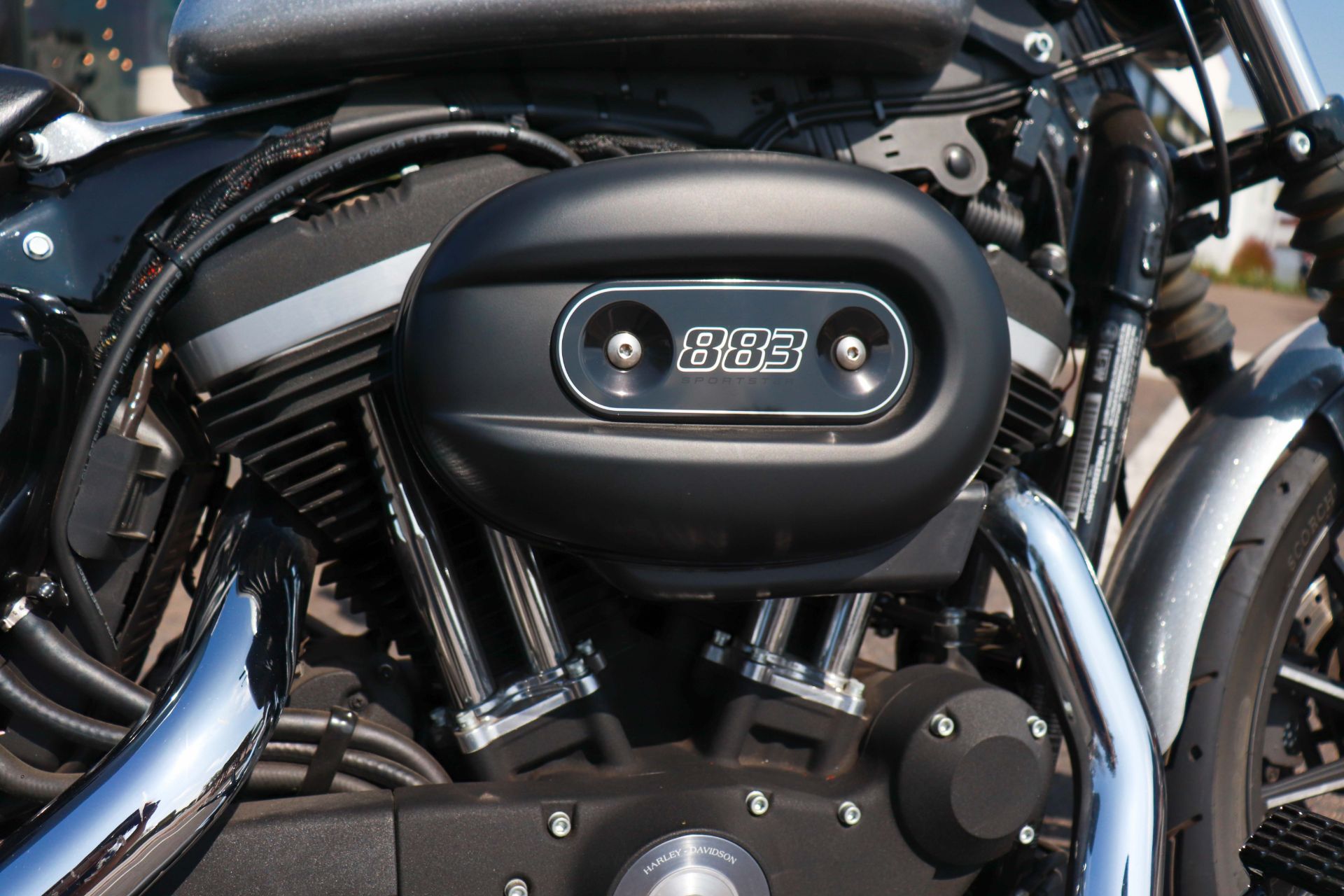 2015 Harley-Davidson Iron 883™ in San Diego, California - Photo 14