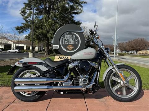 2024 Harley-Davidson Softail® Standard in Morgan Hill, California