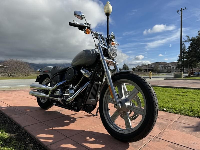 2024 Harley-Davidson Softail® Standard in Morgan Hill, California - Photo 15