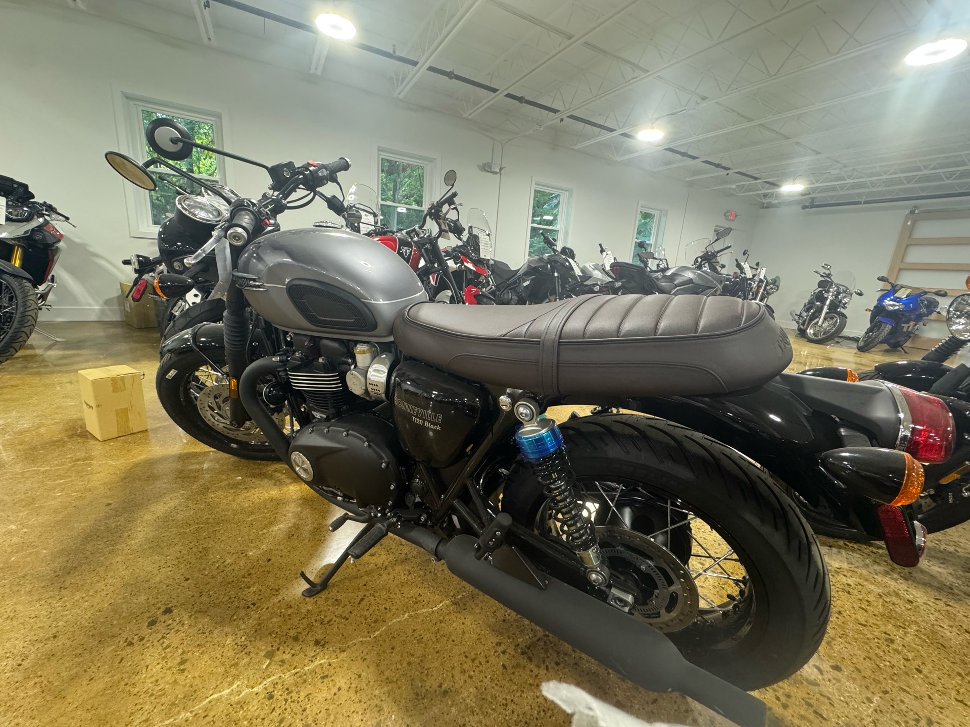 2024 Triumph Bonneville T120 Black in Bala Cynwyd, Pennsylvania - Photo 3