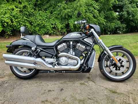 2007 Harley-Davidson VRSCD Night Rod™ in Ransomville, New York