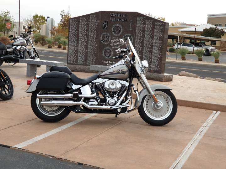 2007 harley davidson softail