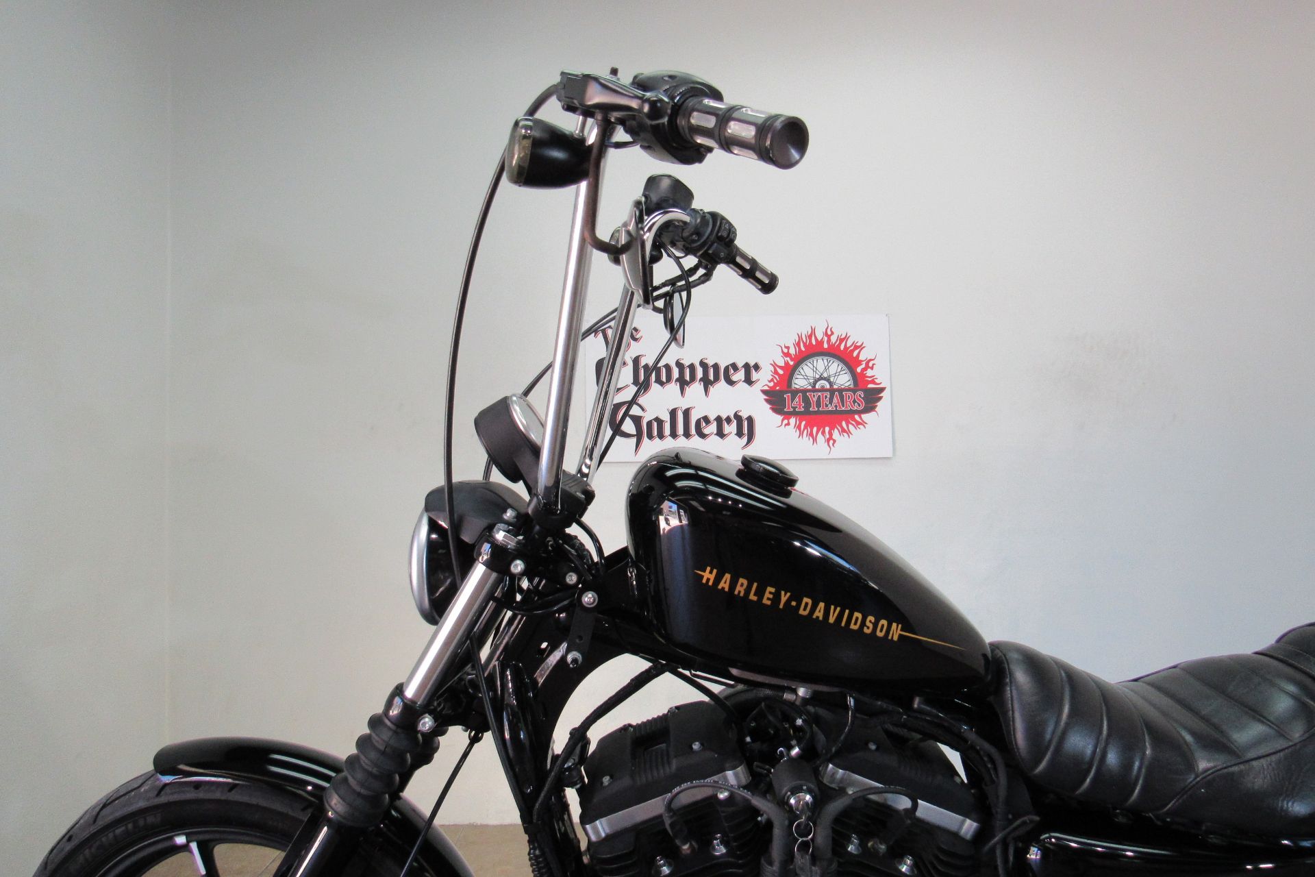 2016 Harley-Davidson Iron 883™ in Temecula, California - Photo 10