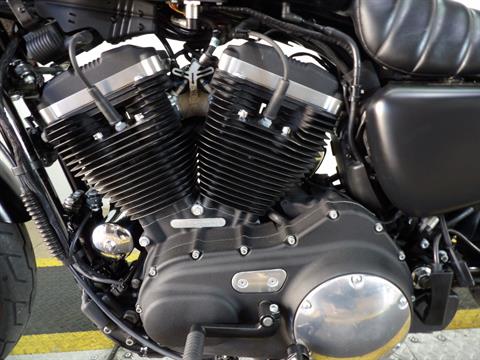 2020 Harley-Davidson Iron 883™ in Temecula, California - Photo 14